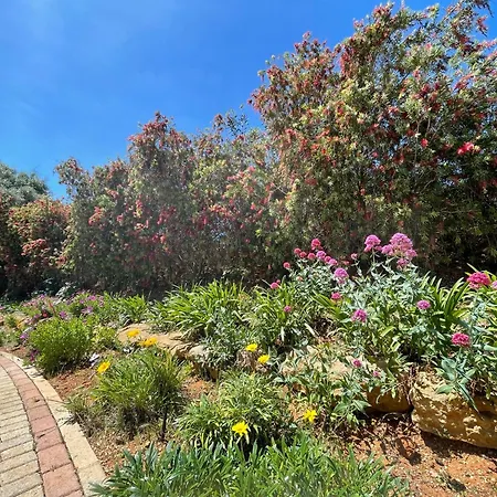 Casas Do Ramalhete *