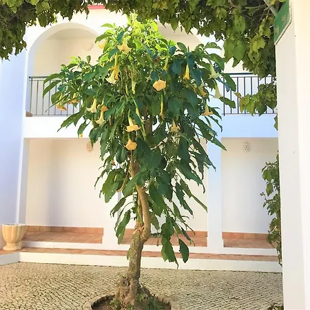 Appartamento Casas Do Ramalhete *
