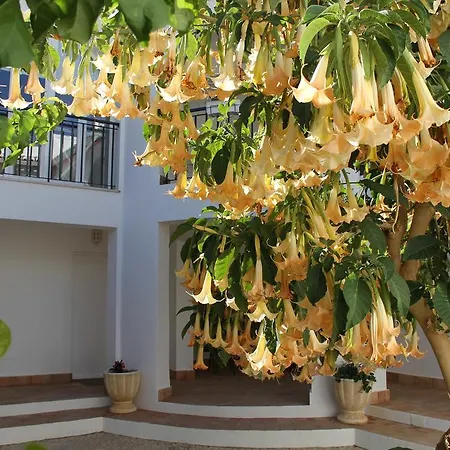 Casas Do Ramalhete Praia Da Luz